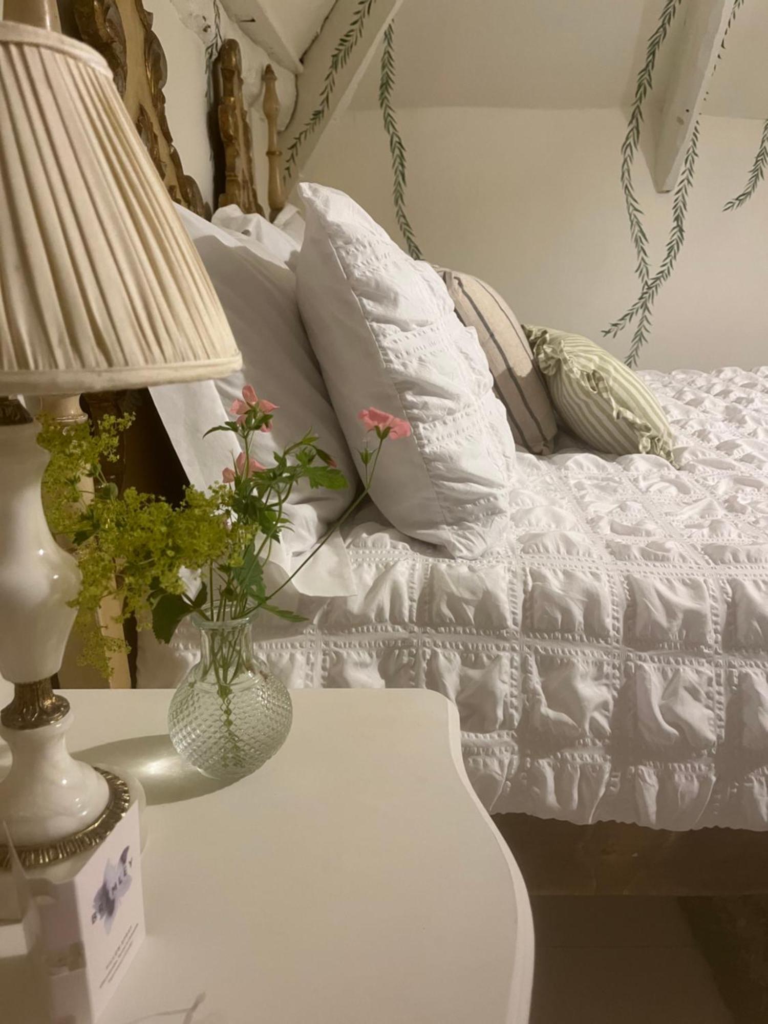 Bowlish House Bed & Breakfast Shepton Mallet Luaran gambar